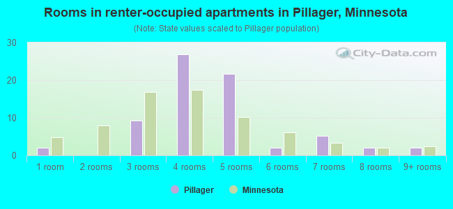 Rooms in renter-occupied apartments in Pillager, Minnesota