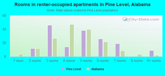 Rooms in renter-occupied apartments in Pine Level, Alabama