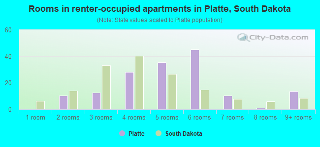 Rooms in renter-occupied apartments in Platte, South Dakota