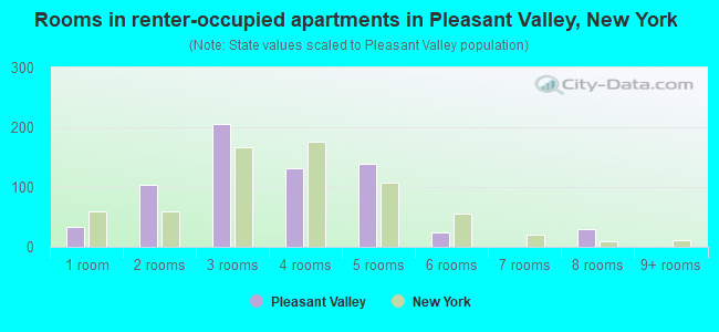Rooms in renter-occupied apartments in Pleasant Valley, New York