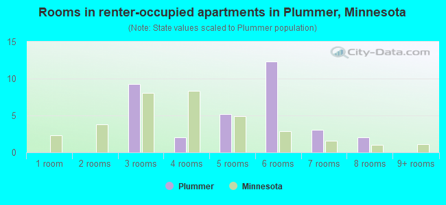 Rooms in renter-occupied apartments in Plummer, Minnesota