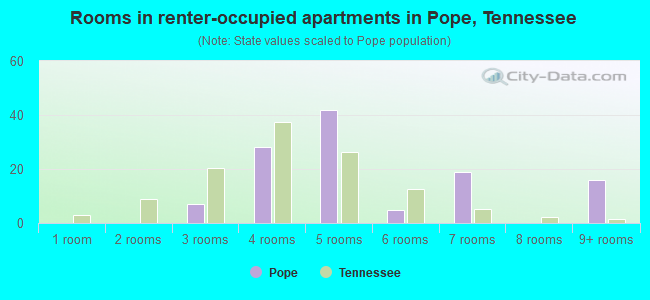 Rooms in renter-occupied apartments in Pope, Tennessee