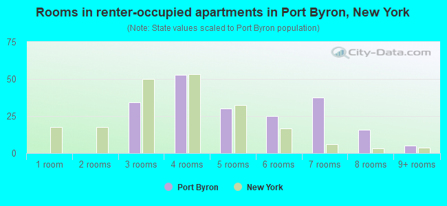 Rooms in renter-occupied apartments in Port Byron, New York