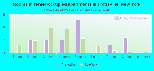 Rooms in renter-occupied apartments in Prattsville, New York