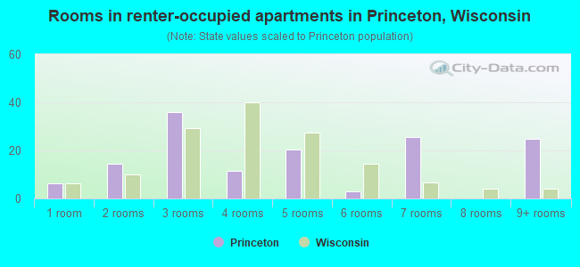Rooms in renter-occupied apartments in Princeton, Wisconsin