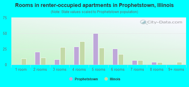 Rooms in renter-occupied apartments in Prophetstown, Illinois