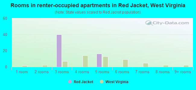Rooms in renter-occupied apartments in Red Jacket, West Virginia