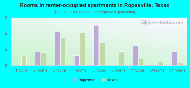 Rooms in renter-occupied apartments in Ropesville, Texas