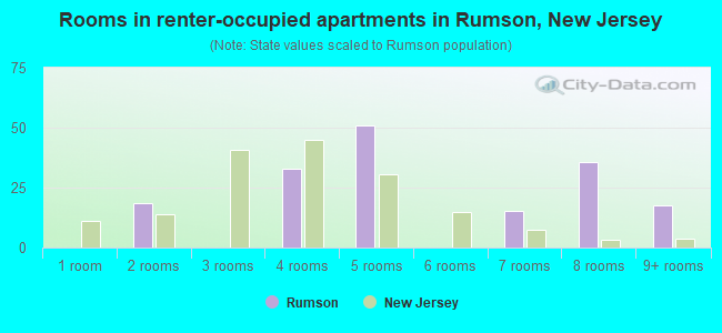 Rooms in renter-occupied apartments in Rumson, New Jersey