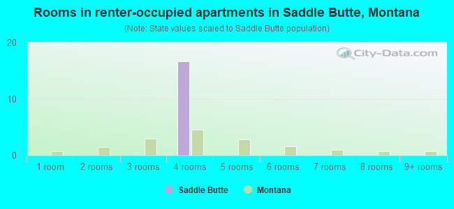 Rooms in renter-occupied apartments in Saddle Butte, Montana