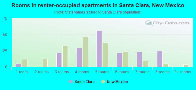 Rooms in renter-occupied apartments in Santa Clara, New Mexico