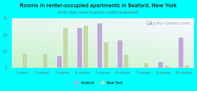 Rooms in renter-occupied apartments in Seaford, New York
