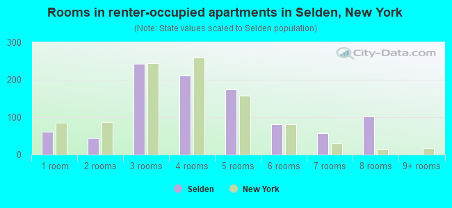 Rooms in renter-occupied apartments in Selden, New York