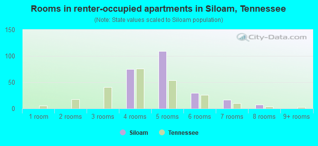 Rooms in renter-occupied apartments in Siloam, Tennessee