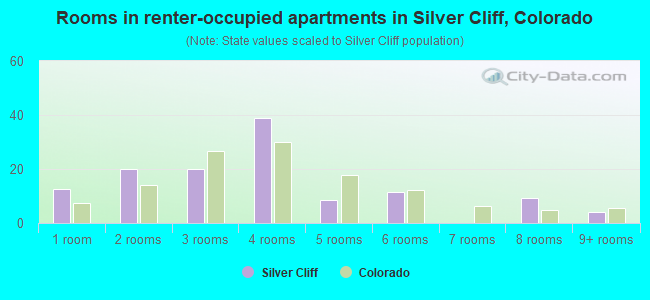 Rooms in renter-occupied apartments in Silver Cliff, Colorado
