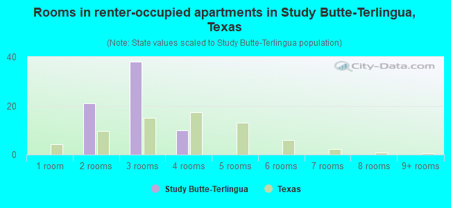 Rooms in renter-occupied apartments in Study Butte-Terlingua, Texas