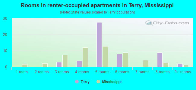 Rooms in renter-occupied apartments in Terry, Mississippi