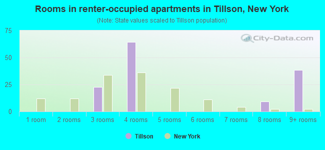 Rooms in renter-occupied apartments in Tillson, New York