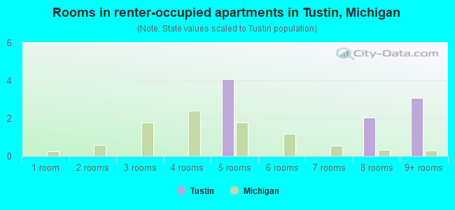 Rooms in renter-occupied apartments in Tustin, Michigan