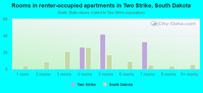 Rooms in renter-occupied apartments in Two Strike, South Dakota