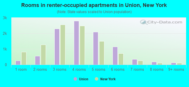 Rooms in renter-occupied apartments in Union, New York