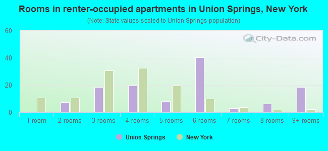 Rooms in renter-occupied apartments in Union Springs, New York