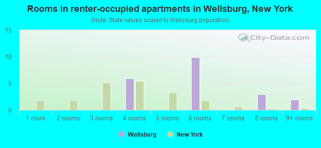 Rooms in renter-occupied apartments in Wellsburg, New York