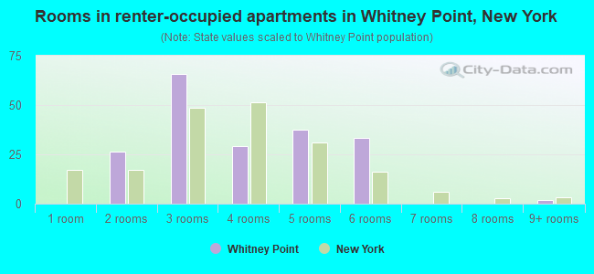 Rooms in renter-occupied apartments in Whitney Point, New York