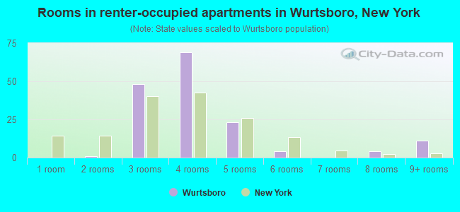 Rooms in renter-occupied apartments in Wurtsboro, New York