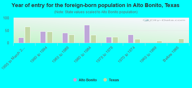 Year of entry for the foreign-born population in Alto Bonito, Texas