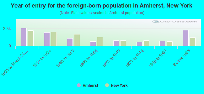 Year of entry for the foreign-born population in Amherst, New York