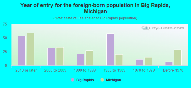Year of entry for the foreign-born population in Big Rapids, Michigan
