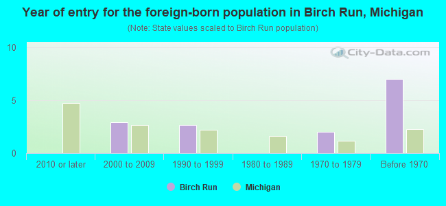 Year of entry for the foreign-born population in Birch Run, Michigan