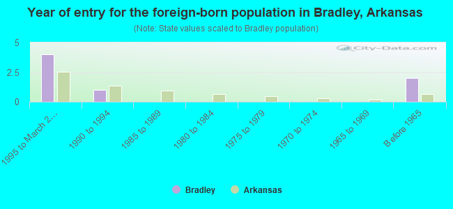 Year of entry for the foreign-born population in Bradley, Arkansas