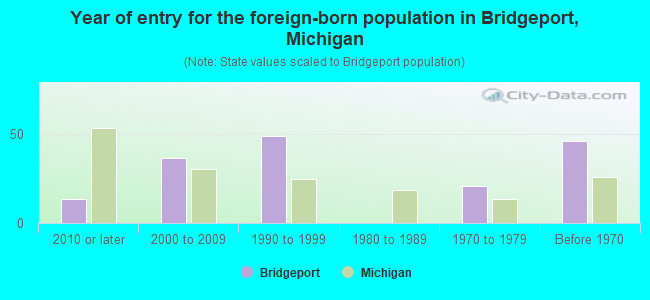 Year of entry for the foreign-born population in Bridgeport, Michigan