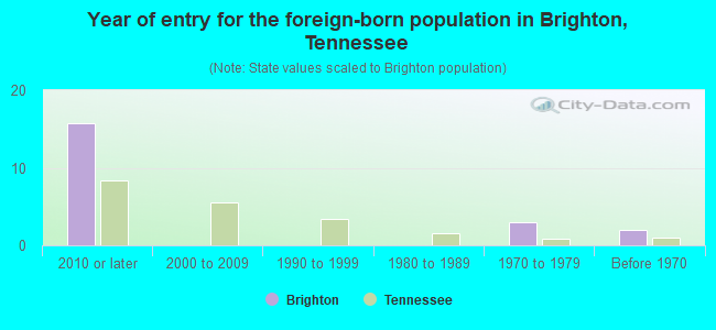 Year of entry for the foreign-born population in Brighton, Tennessee