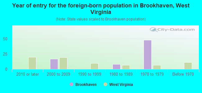 Year of entry for the foreign-born population in Brookhaven, West Virginia