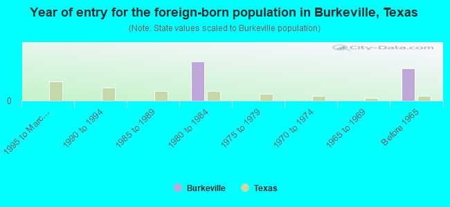 Year of entry for the foreign-born population in Burkeville, Texas
