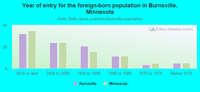 Year of entry for the foreign-born population in Burnsville, Minnesota