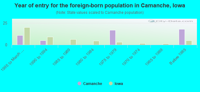 Year of entry for the foreign-born population in Camanche, Iowa