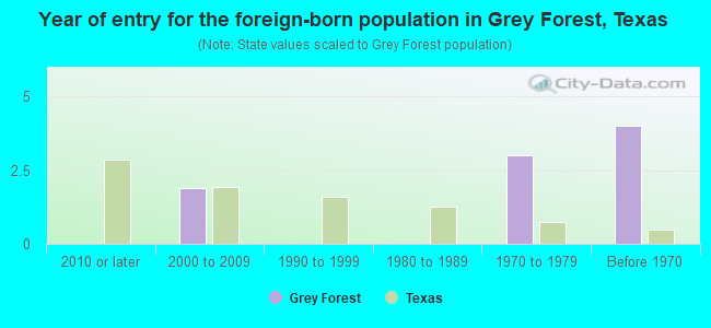 Year of entry for the foreign-born population in Grey Forest, Texas