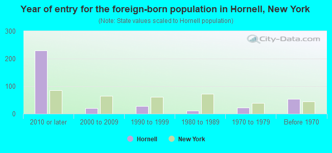 Year of entry for the foreign-born population in Hornell, New York