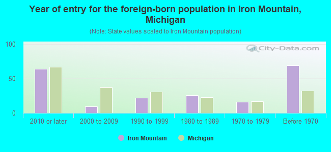 Year of entry for the foreign-born population in Iron Mountain, Michigan