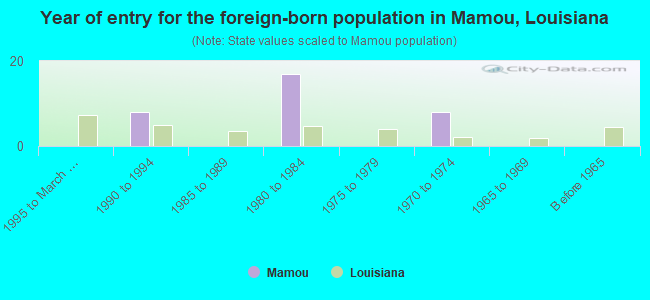 Year of entry for the foreign-born population in Mamou, Louisiana