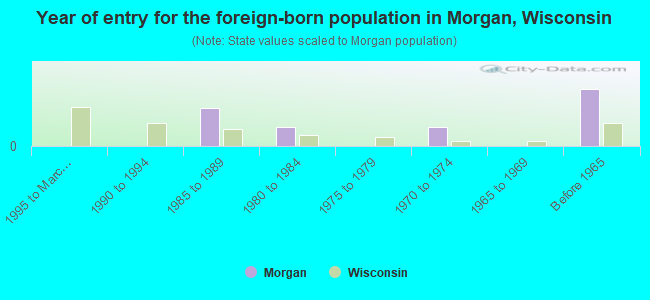 Year of entry for the foreign-born population in Morgan, Wisconsin