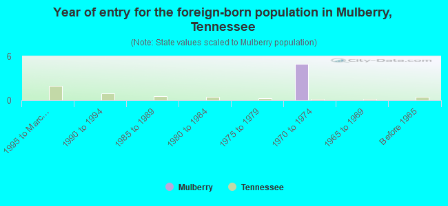 Year of entry for the foreign-born population in Mulberry, Tennessee