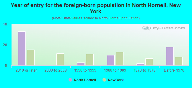 Year of entry for the foreign-born population in North Hornell, New York
