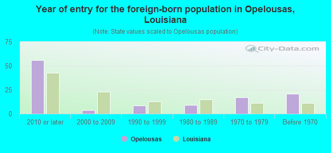 Year of entry for the foreign-born population in Opelousas, Louisiana