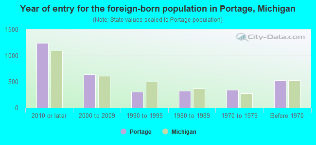 Year of entry for the foreign-born population in Portage, Michigan