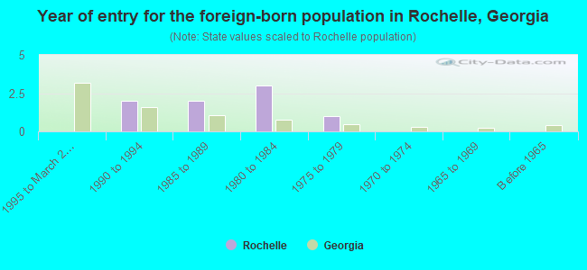 Year of entry for the foreign-born population in Rochelle, Georgia